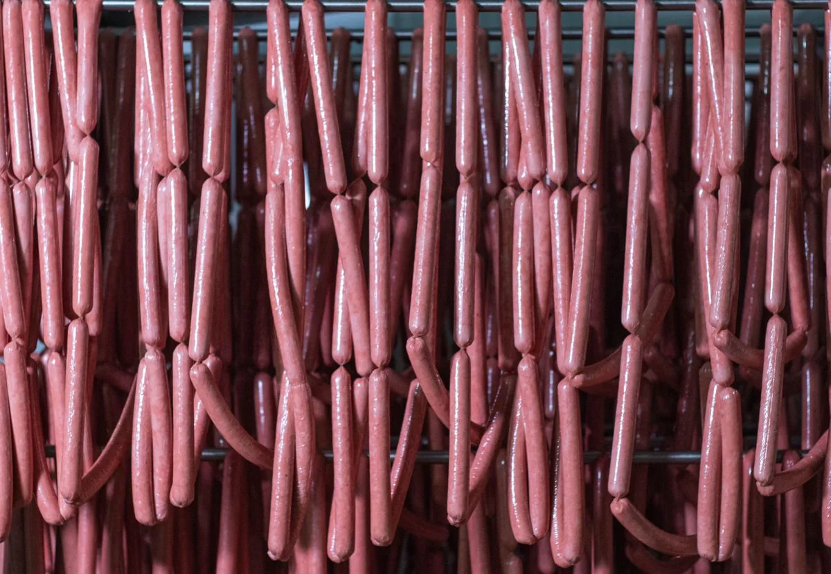 Rows of linked sausages hanging from metal rails in a food-production cold room.