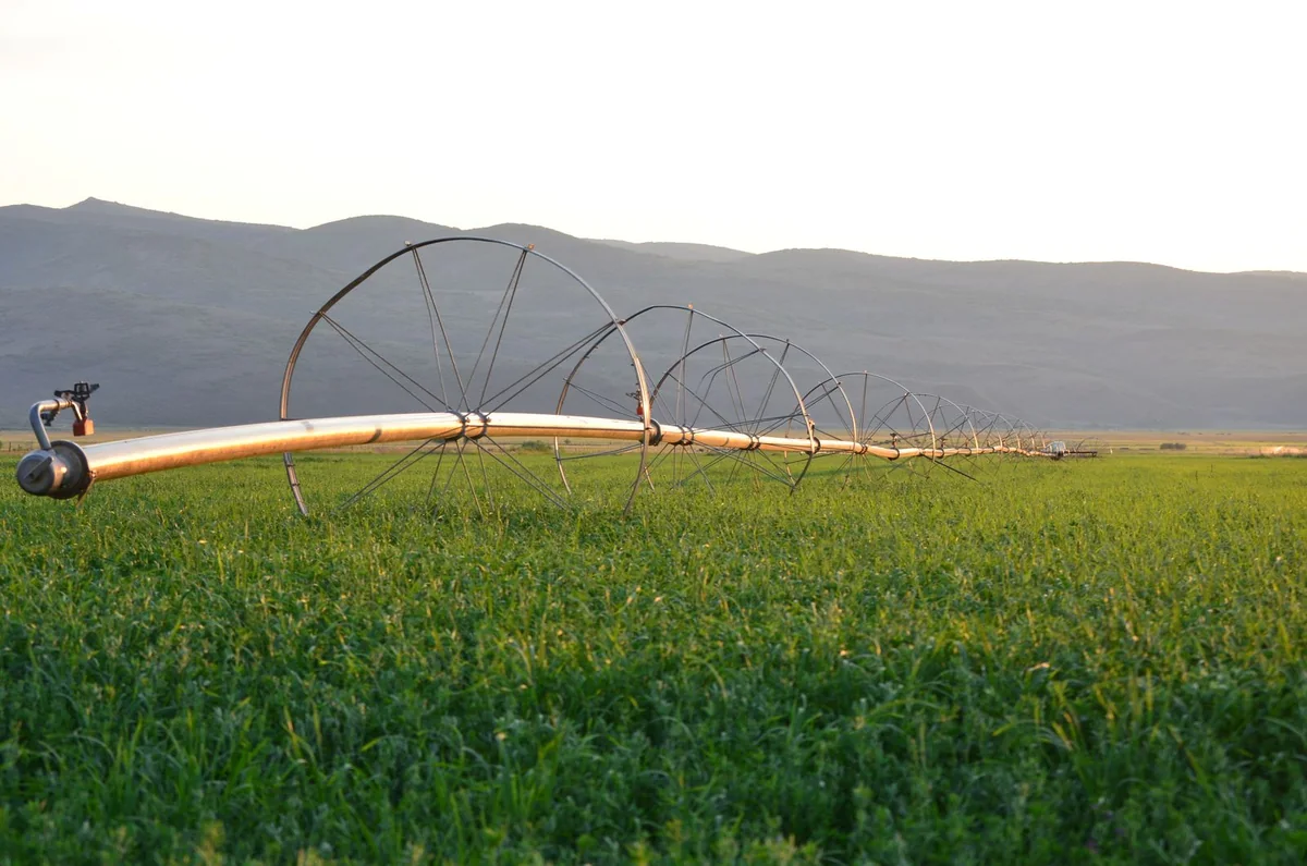 A wheeled irrigation pipe extending through a green agricultural field.