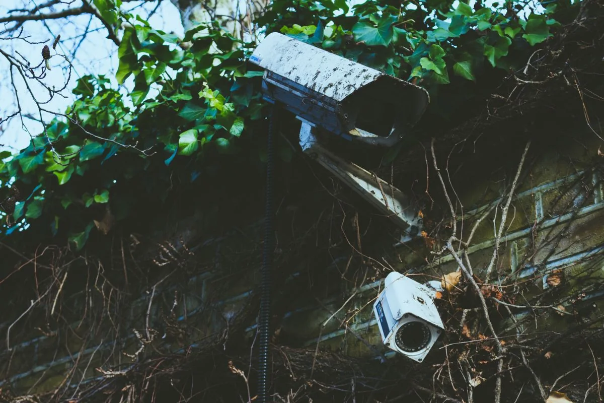 Two weathered surveillance cameras surrounded by ivy on a brick wall.