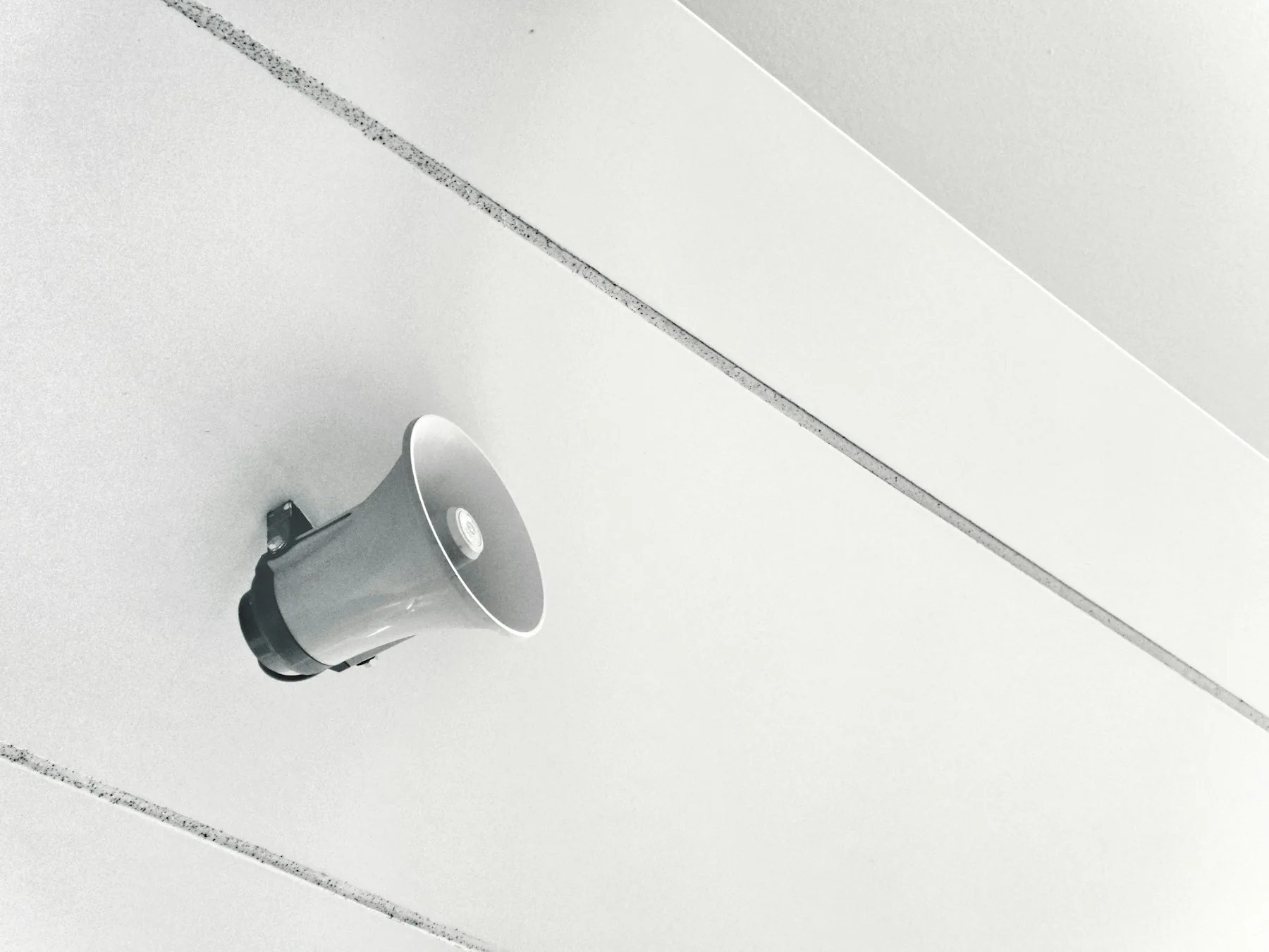 Horn loudspeaker fixed to a pale paneled wall.