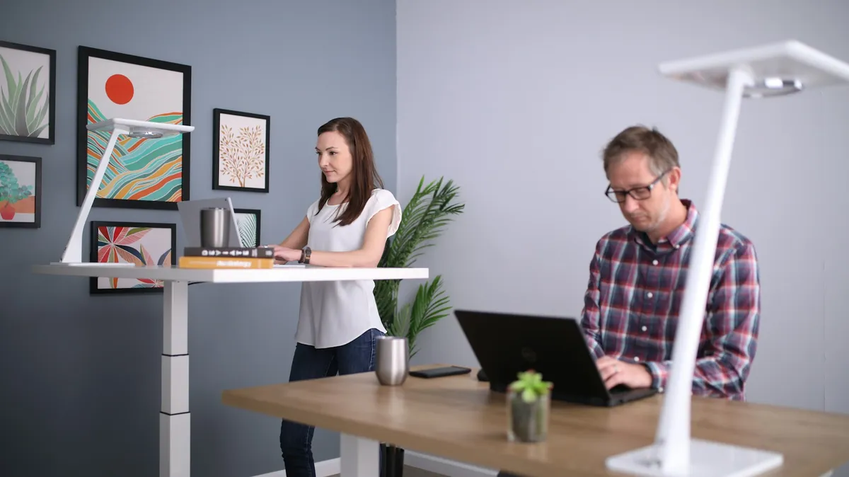 Two people working at separate adjustable desks in a shared office.