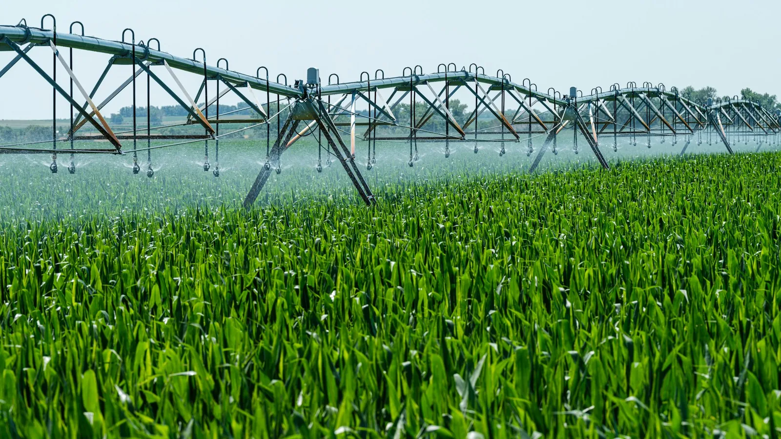 A center-pivot irrigation system spraying water over a green crop field.