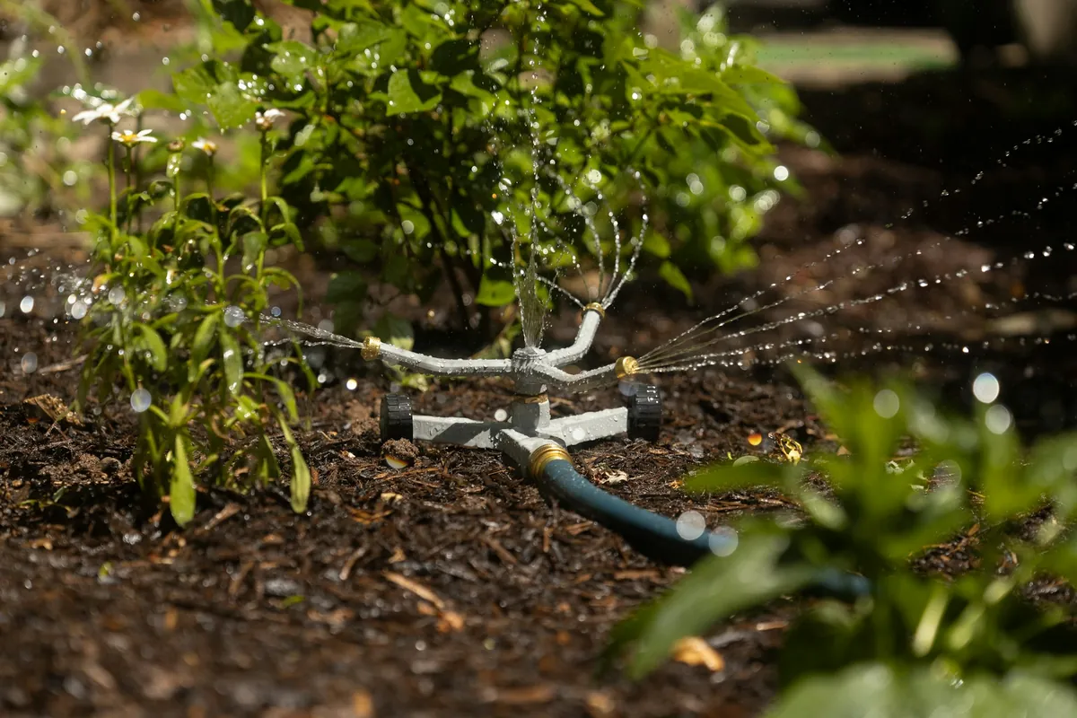 A low sprinkler watering soil and small plants in a planted bed.