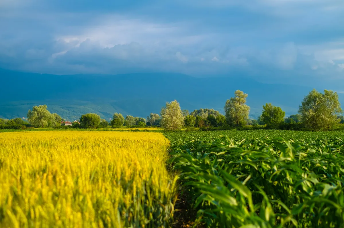 Green crop fields and trees beneath a dark storm-cloud sky.