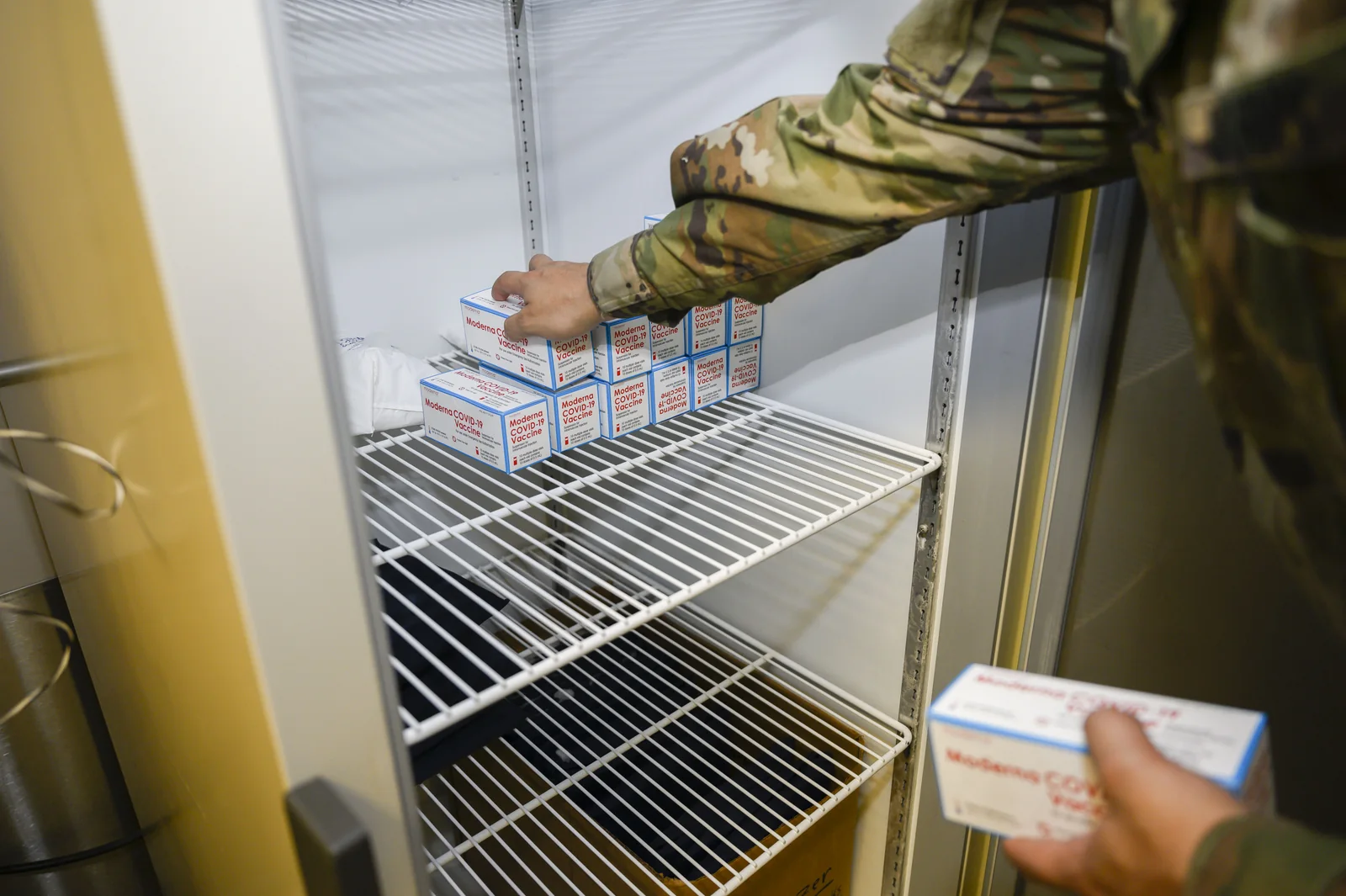 A worker placing boxed vaccines on a refrigerator shelf.