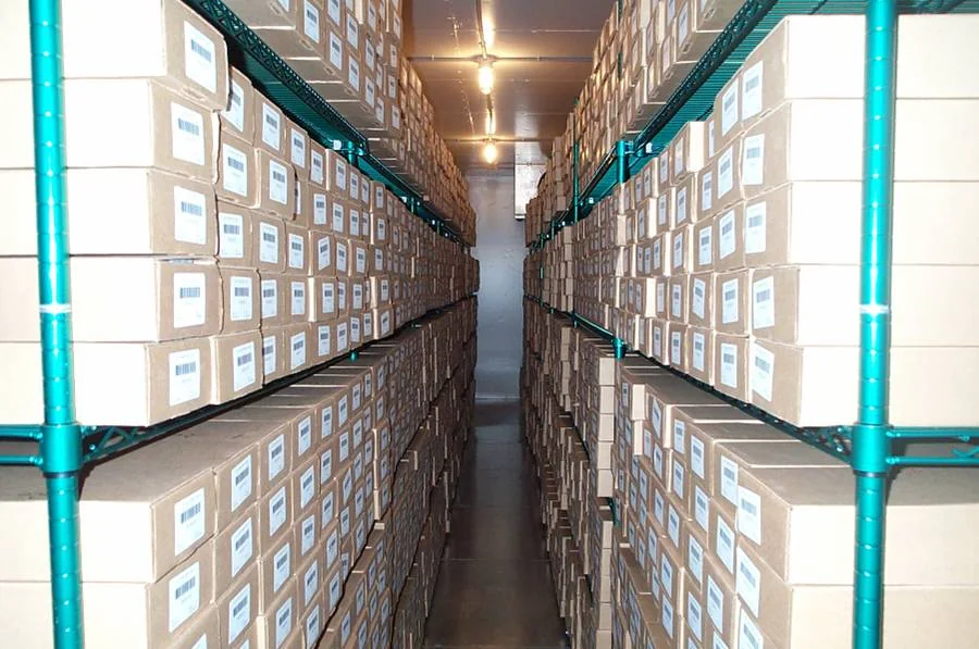 A walk-in laboratory freezer aisle lined with labeled serum-specimen storage boxes.