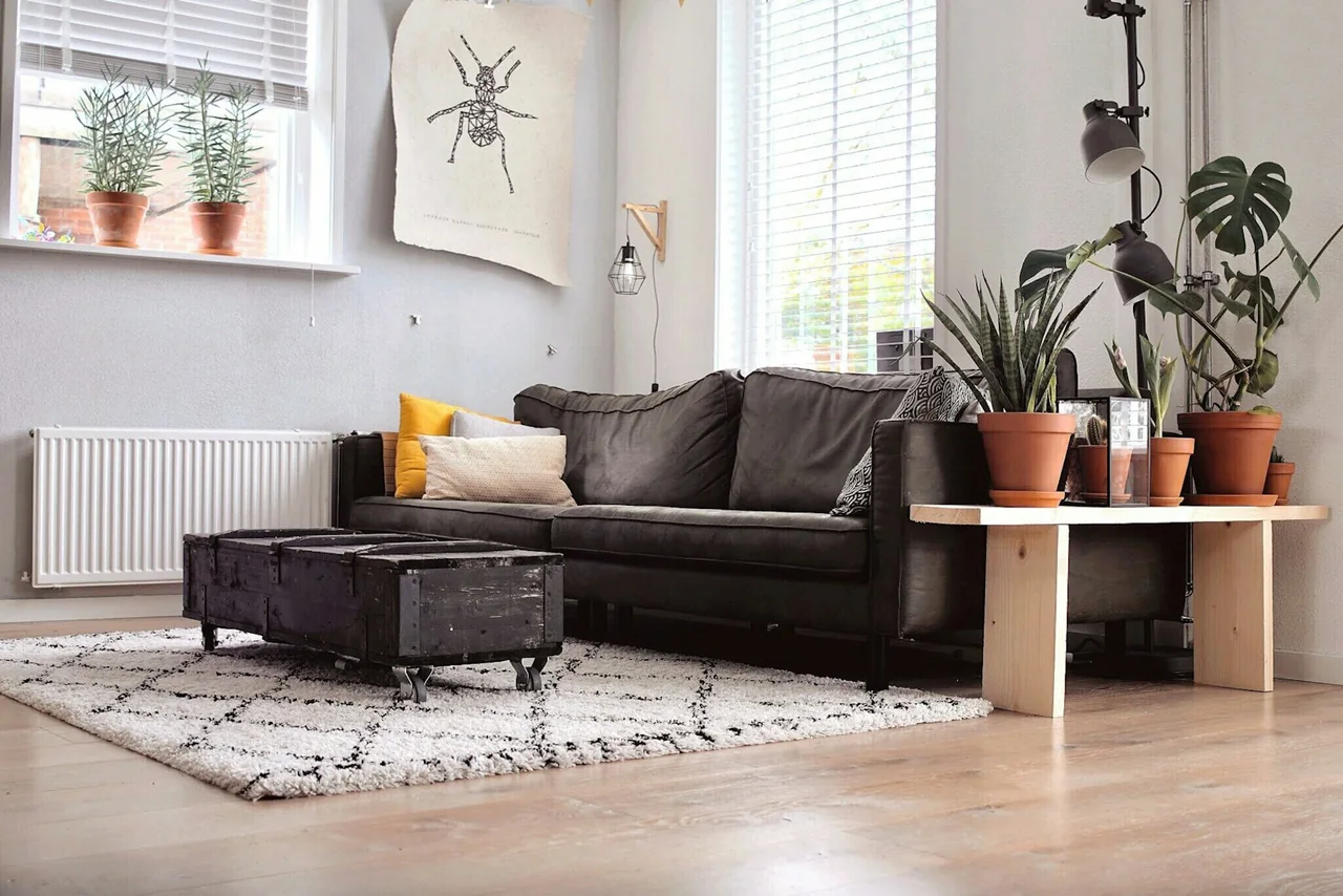 A furnished living room with a white panel radiator beneath the window.