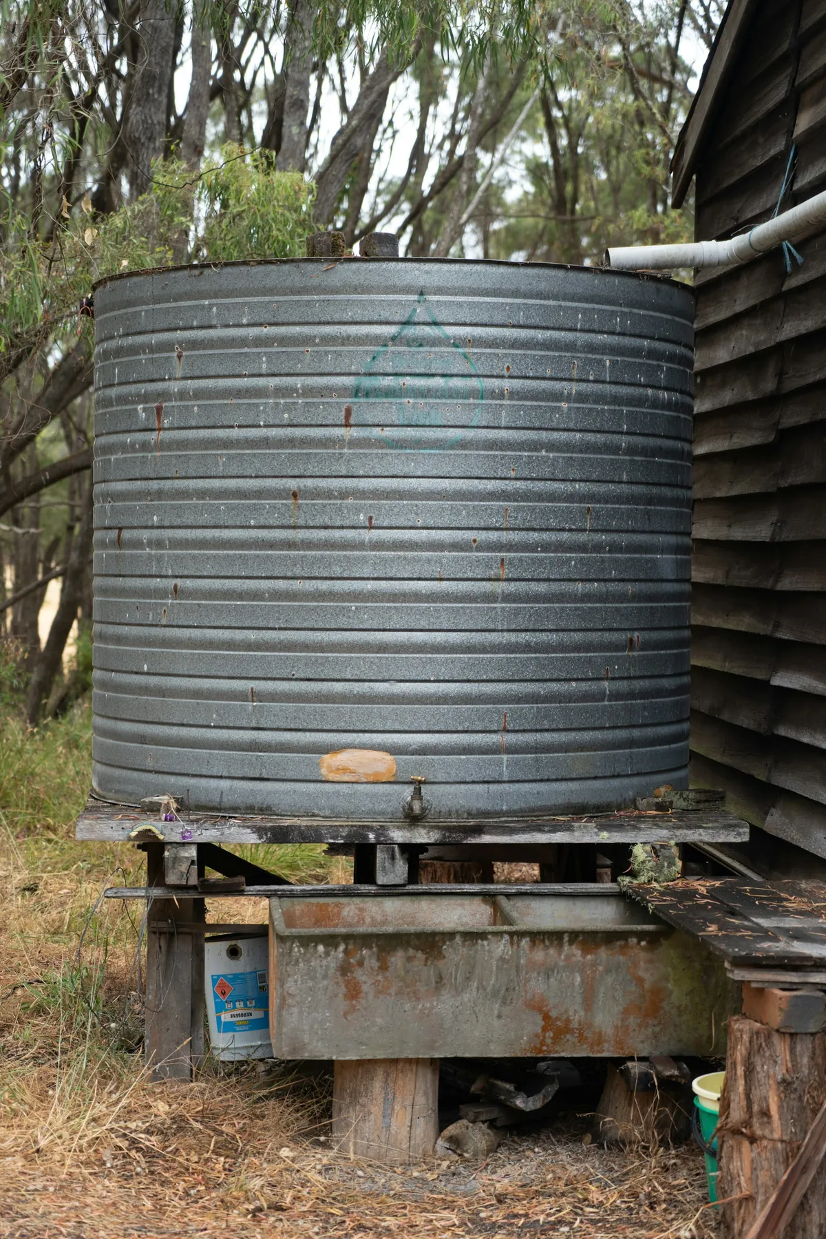 A corrugated rainwater tank connected to a roof downpipe beside a timber building.