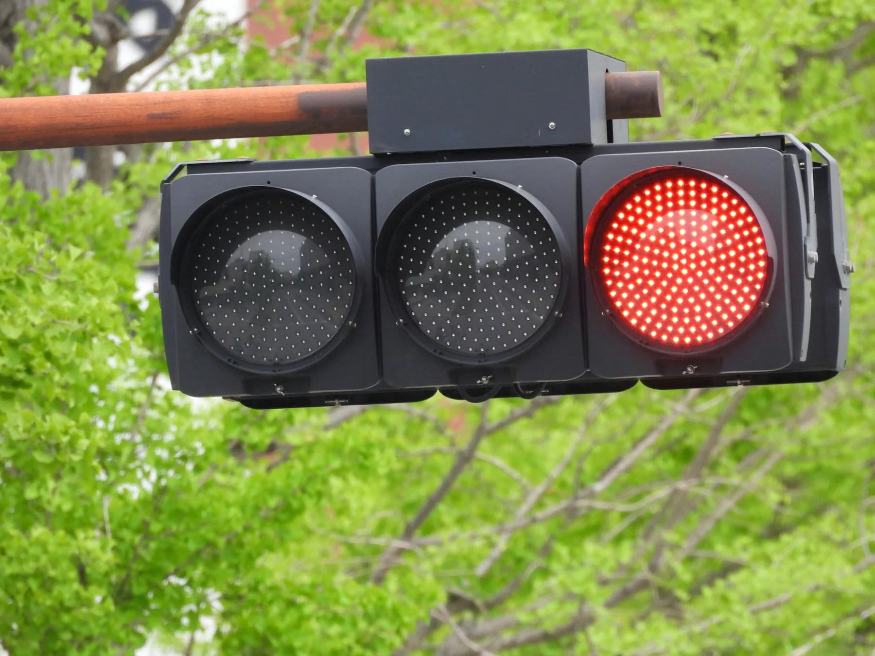 Horizontal traffic-signal head with a red lamp illuminated against green foliage.