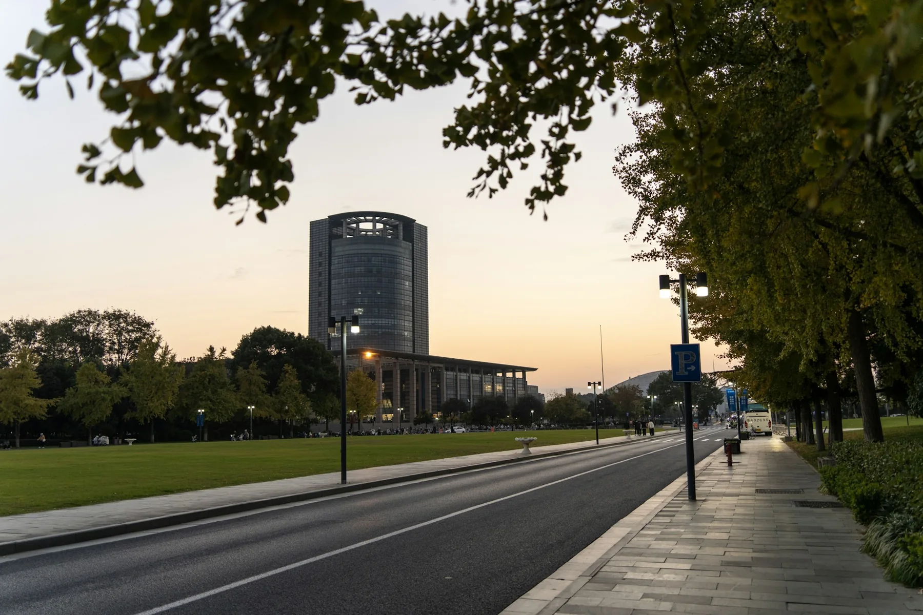 Tree-lined paved road beside modern office buildings at dusk.