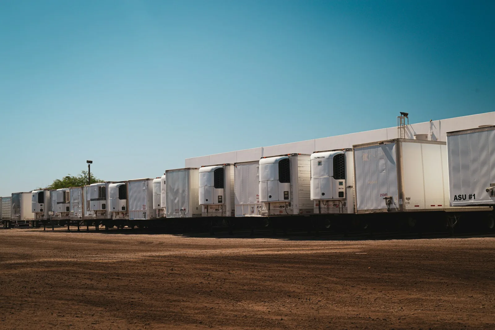 Refrigerated trailers parked in a row at a transport depot.