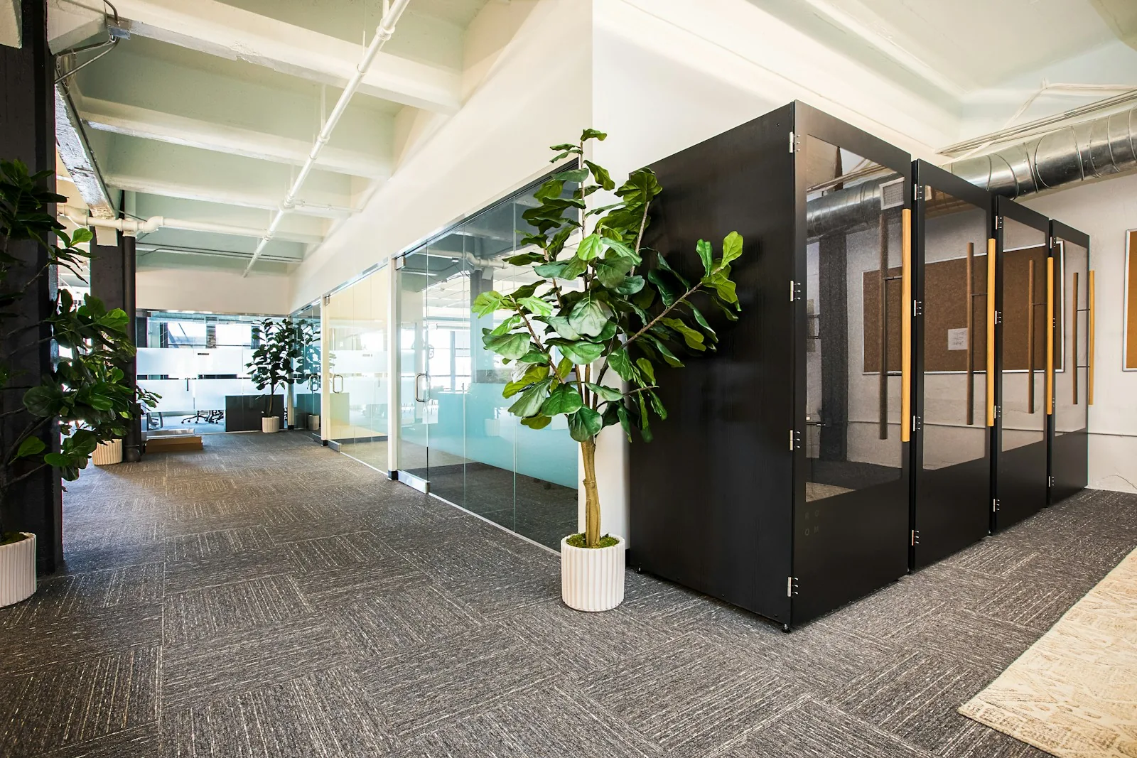 An office corridor with enclosed meeting booths, carpeting and glass partitions.