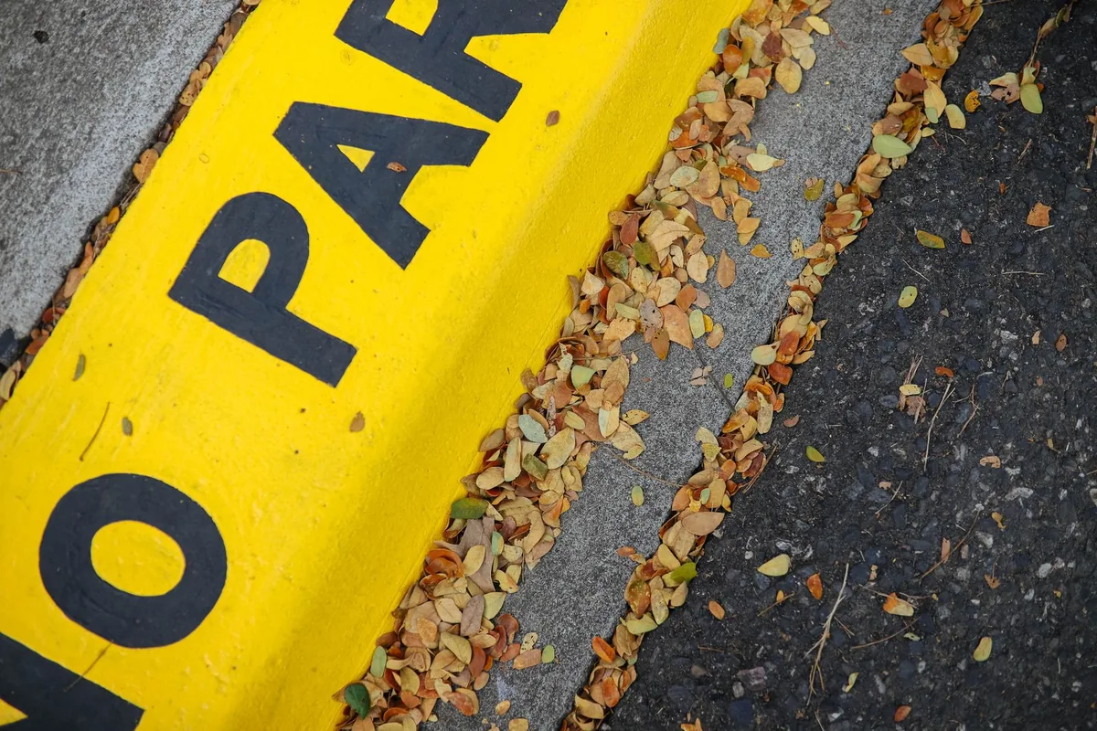 Yellow curb with black no-parking lettering and fallen leaves.