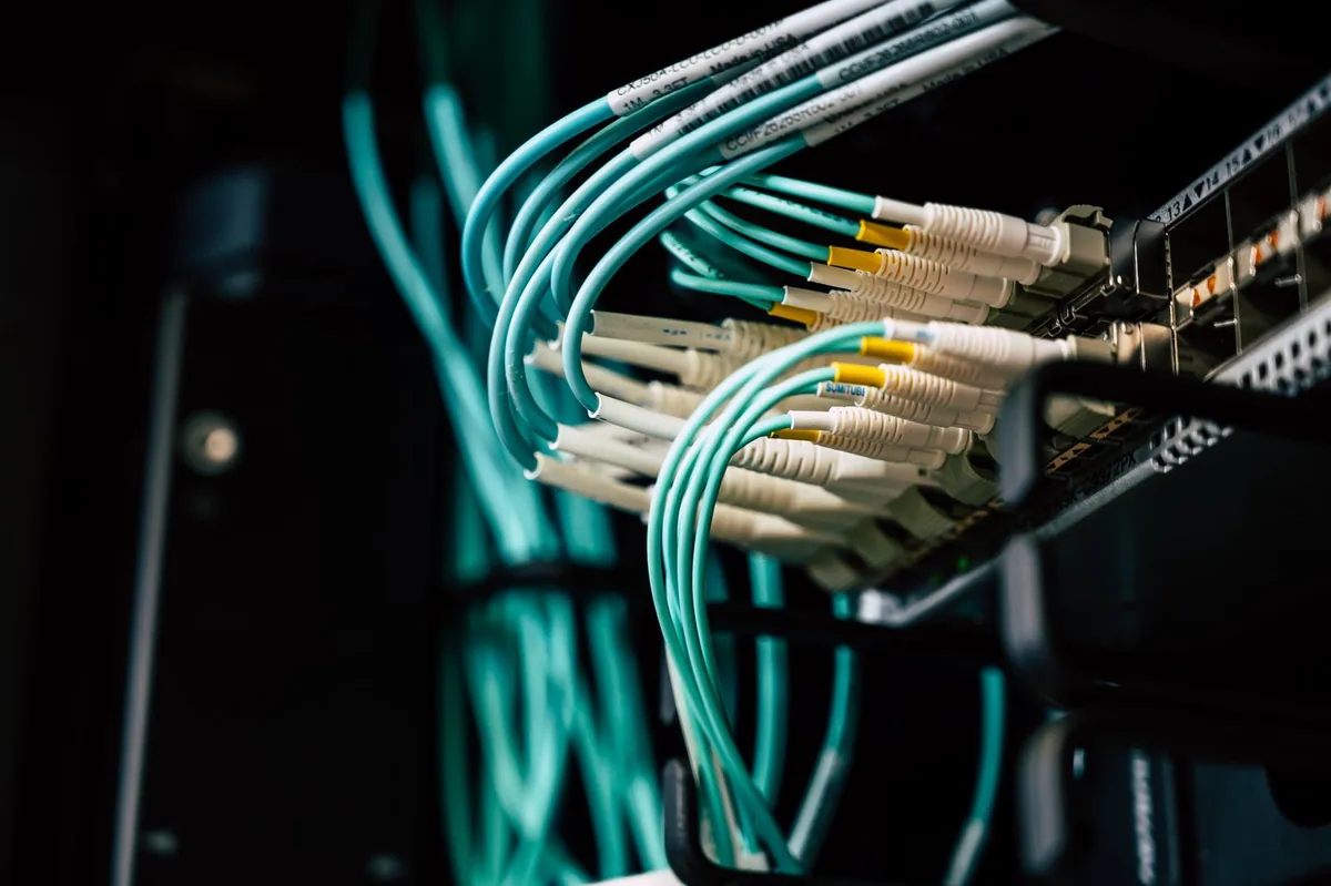 Fiber-optic cables connected to a network patch panel.