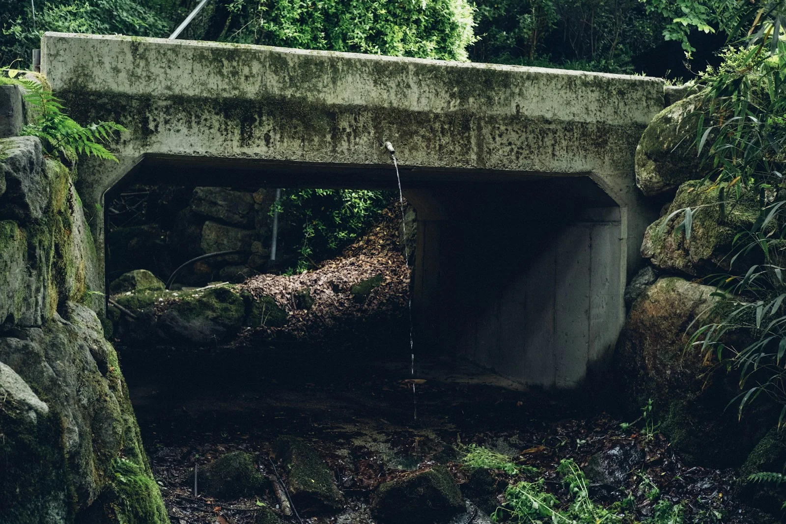 A concrete culvert spanning a rocky channel surrounded by vegetation.
