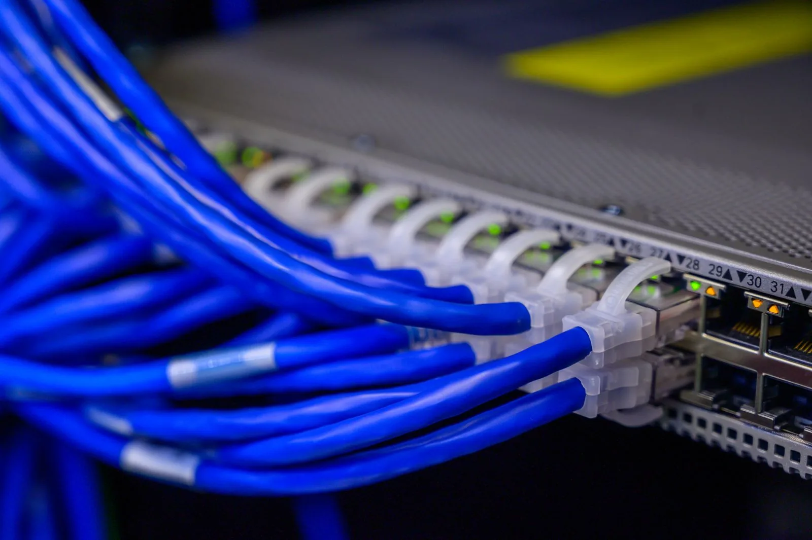 Blue Ethernet cables connected to numbered ports on a network switch.