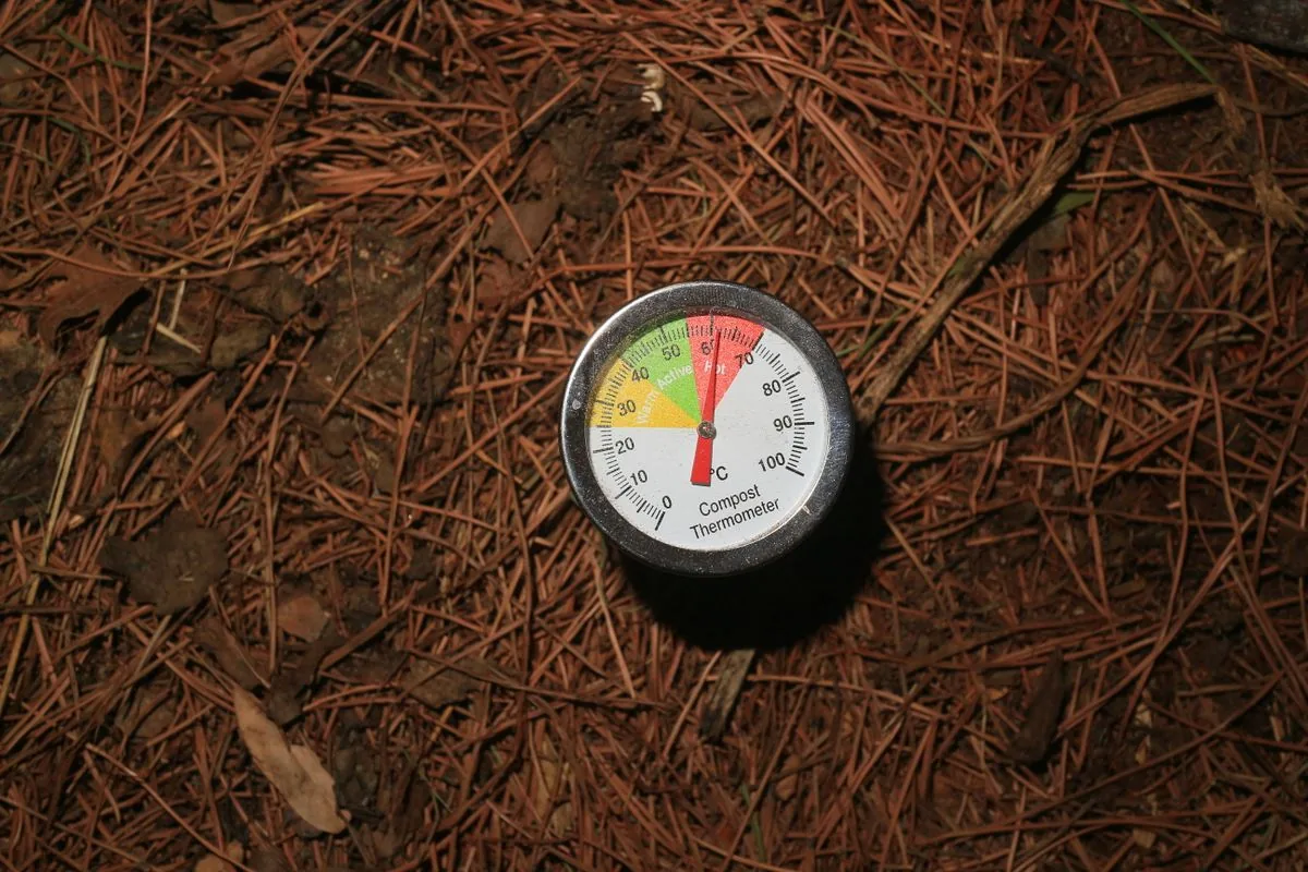 A round compost thermometer inserted into brown organic material and pine needles.
