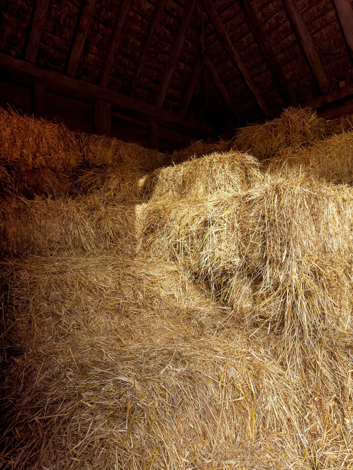 Rectangular hay bales stacked inside a timber-roofed barn.