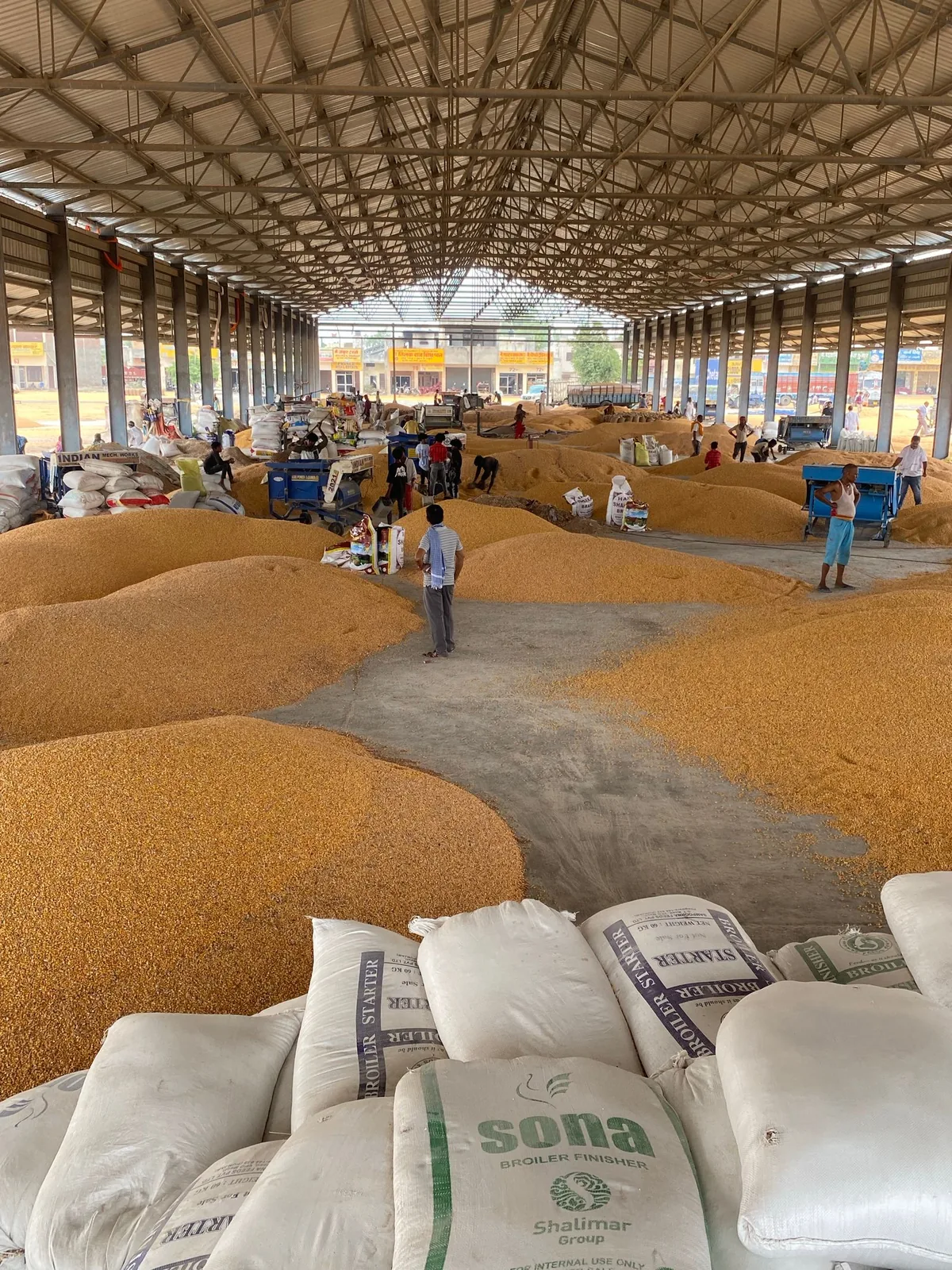 Piles of grain and filled sacks beneath the roof of a large storage hall.